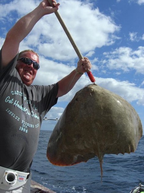 butterfly ray Cavalier & Blue Marlin Sport Fishing Gran Canaria