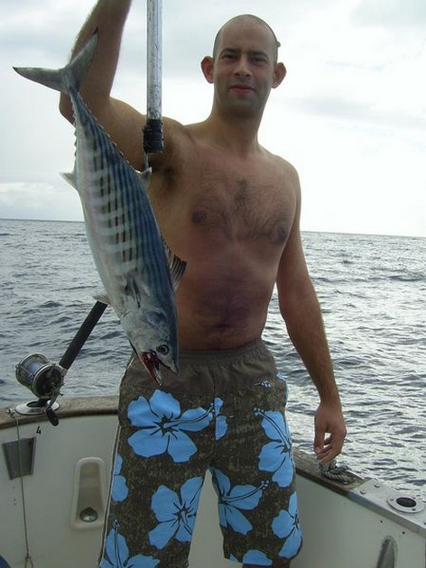 03/11 north atlantic bonito Cavalier & Blue Marlin Sport Fishing Gran Canaria