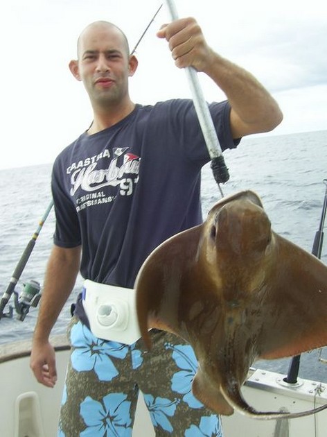 eagle ray Cavalier & Blue Marlin Sport Fishing Gran Canaria