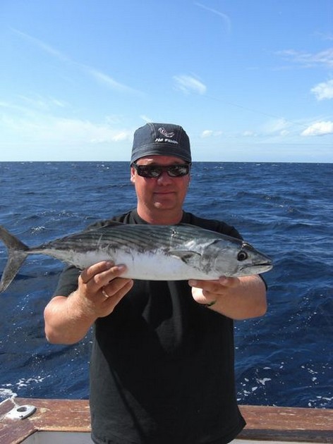 atlantic bonito Cavalier & Blue Marlin Sport Fishing Gran Canaria