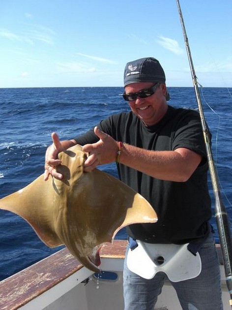 eagle ray Cavalier & Blue Marlin Sport Fishing Gran Canaria