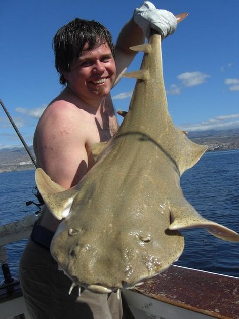 04/11 angel shark Cavalier & Blue Marlin Sport Fishing Gran Canaria