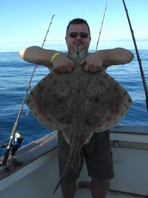 thornback ray Cavalier & Blue Marlin Sport Fishing Gran Canaria