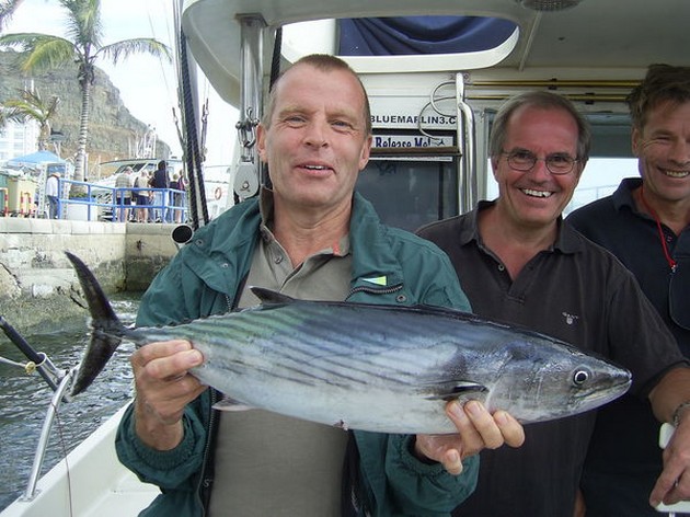 atlantic bonito Cavalier & Blue Marlin Sport Fishing Gran Canaria