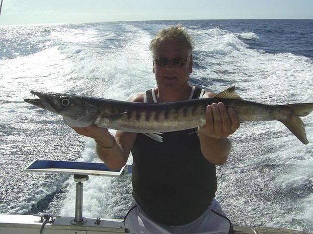 baracuda Cavalier & Blue Marlin Sport Fishing Gran Canaria