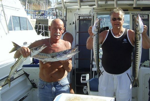 baracuda's Cavalier & Blue Marlin Sport Fishing Gran Canaria