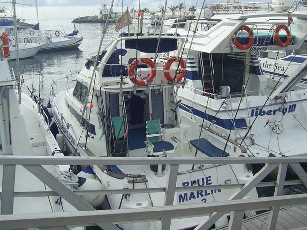 BARRACUDA FESTIVAL Igår och idag Blue Marlin - Cavalier & Blue Marlin Sport Fishing Gran Canaria