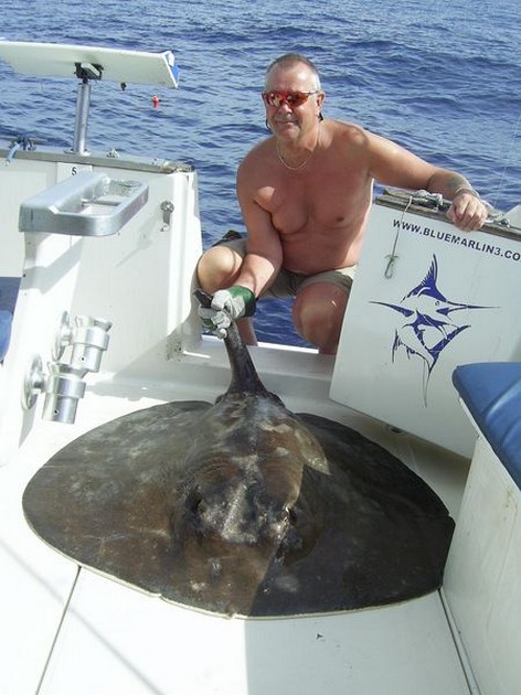 round stingray Cavalier & Blue Marlin Sport Fishing Gran Canaria