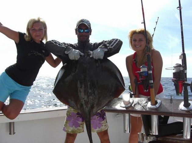 common stingray Cavalier & Blue Marlin Sport Fishing Gran Canaria