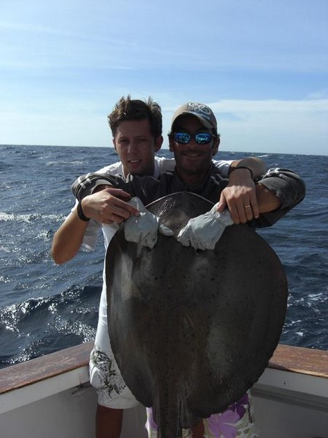 round stingray Cavalier & Blue Marlin Sport Fishing Gran Canaria