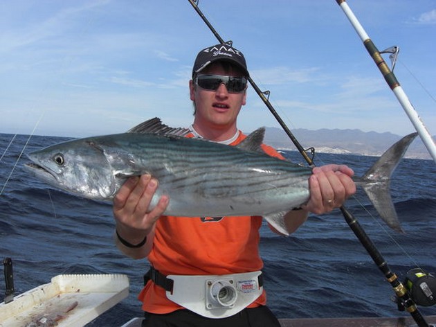 atlantic bonito Cavalier & Blue Marlin Sport Fishing Gran Canaria