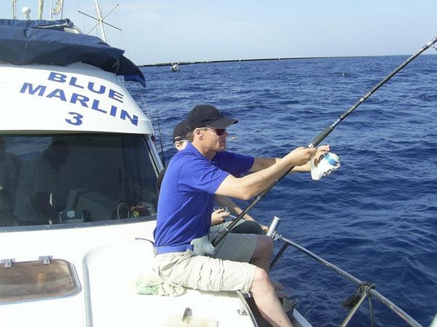 STINGRAYS DE BUEN TAMAÑO El Blue Marlin 3 fue fletado - Cavalier & Blue Marlin Sport Fishing Gran Canaria