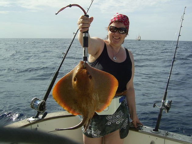 common stingray Cavalier & Blue Marlin Sport Fishing Gran Canaria