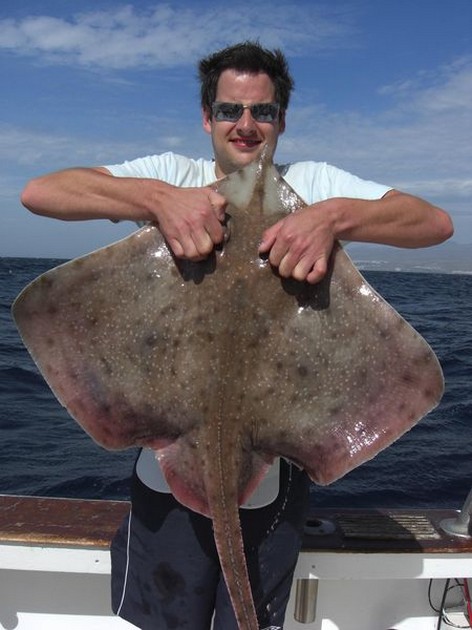 thornback ray Cavalier & Blue Marlin Sport Fishing Gran Canaria