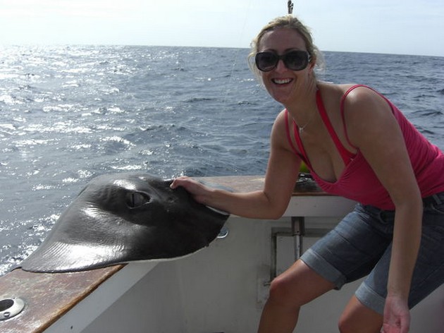 common stingray Cavalier & Blue Marlin Sport Fishing Gran Canaria