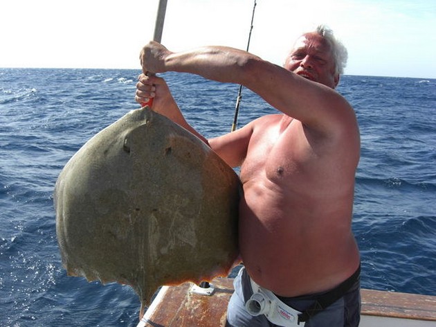 butterfly ray Cavalier & Blue Marlin Sport Fishing Gran Canaria
