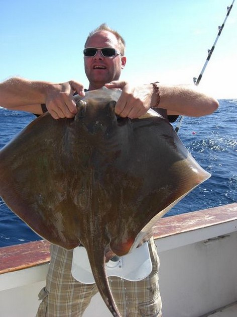 common stingray Cavalier & Blue Marlin Sport Fishing Gran Canaria