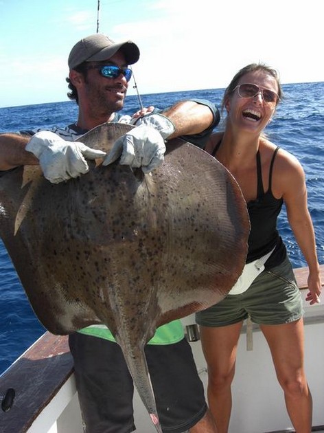 roughtail stingray Cavalier & Blue Marlin Sport Fishing Gran Canaria