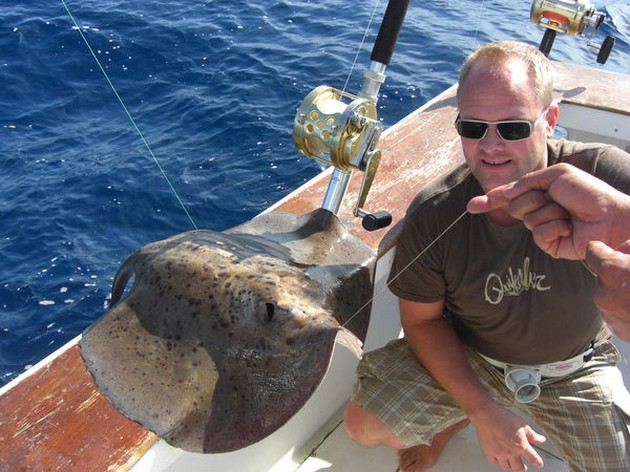 roughtail stingray Cavalier & Blue Marlin Sport Fishing Gran Canaria