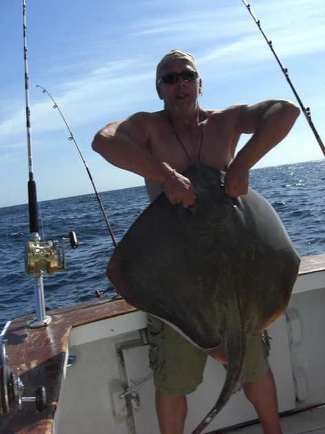 roughtail stingray Cavalier & Blue Marlin Sport Fishing Gran Canaria
