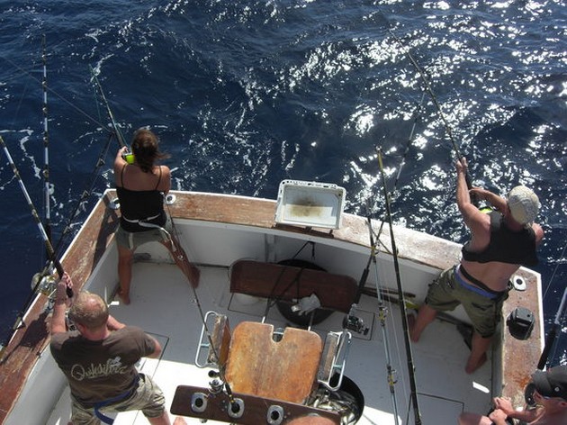 ZONNIG 28  GRADEN<br><br>Na enkele winderige dagen was het - Cavalier & Blue Marlin Sport Fishing Gran Canaria
