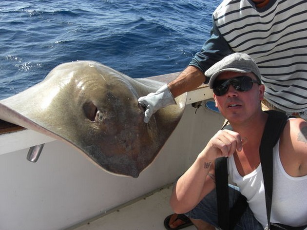 common stingray Cavalier & Blue Marlin Sport Fishing Gran Canaria