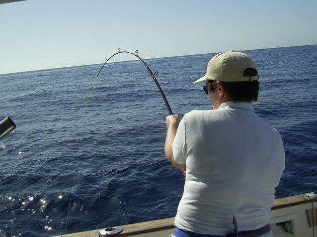 BUSY<br><br>Yeterday, the Blue Marlin 3 was booked by 6 Swedish - Cavalier & Blue Marlin Sport Fishing Gran Canaria