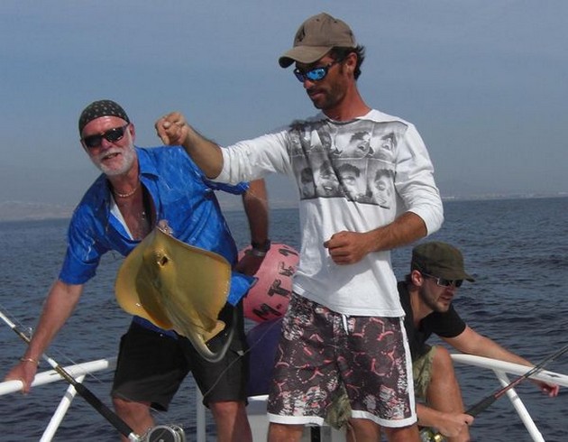 common stingray Cavalier & Blue Marlin Sport Fishing Gran Canaria