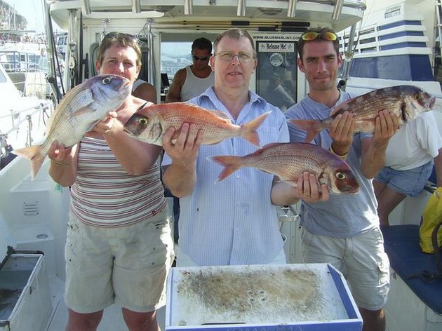 red snapper Cavalier & Blue Marlin Sport Fishing Gran Canaria