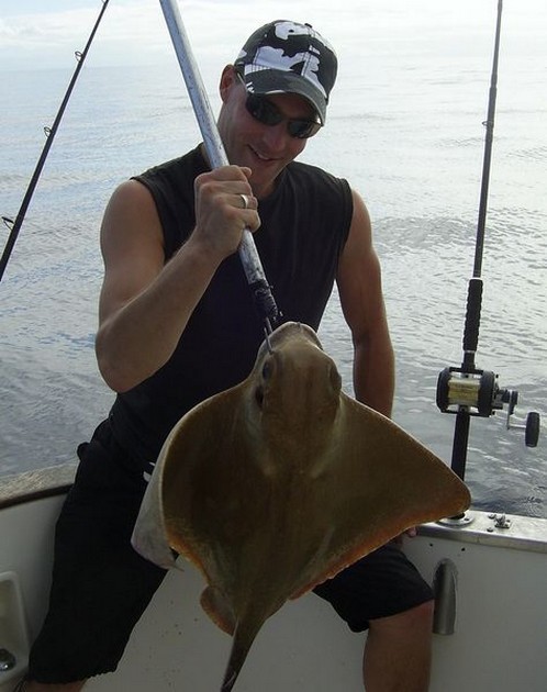 20/11 eagle ray Cavalier & Blue Marlin Sport Fishing Gran Canaria