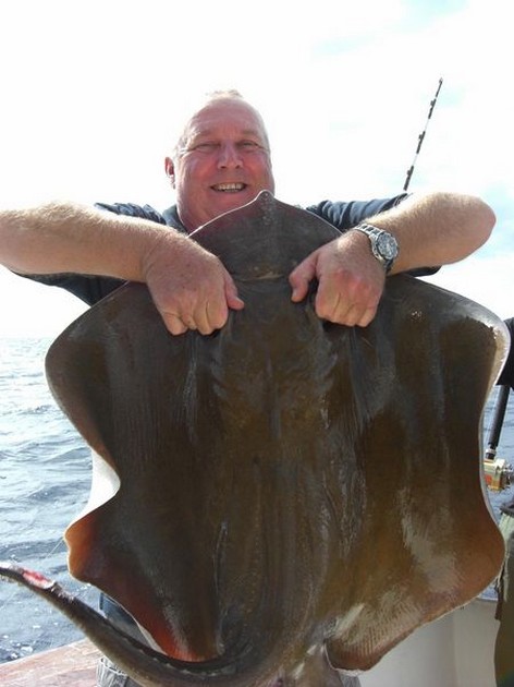 common stingray Cavalier & Blue Marlin Sport Fishing Gran Canaria