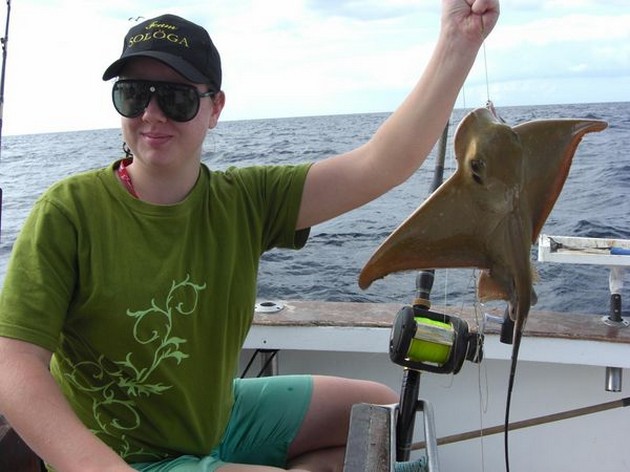 eagle ray Cavalier & Blue Marlin Sport Fishing Gran Canaria