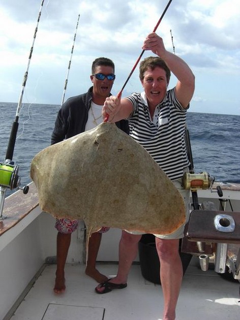 butterfly ray Cavalier & Blue Marlin Sport Fishing Gran Canaria