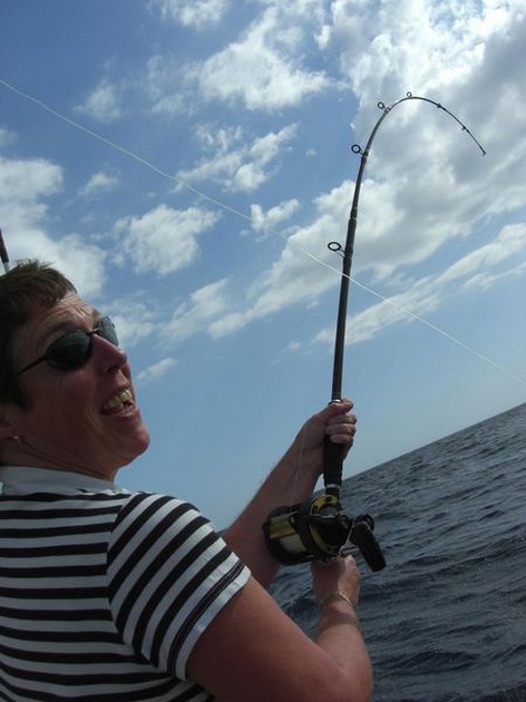 hook up Cavalier & Blue Marlin Sport Fishing Gran Canaria