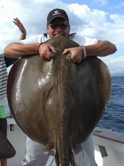 roughtail stingray Cavalier & Blue Marlin Sport Fishing Gran Canaria
