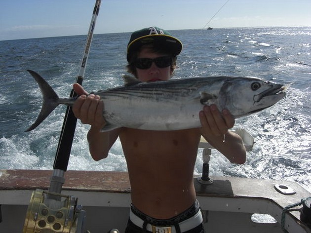 05/01 Atlantic bonito Cavalier & Blue Marlin Sport Fishing Gran Canaria