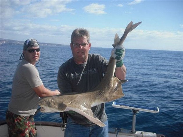 BACK AGAIN<br><br>After a `Great` holiday, I have start today, - Cavalier & Blue Marlin Sport Fishing Gran Canaria