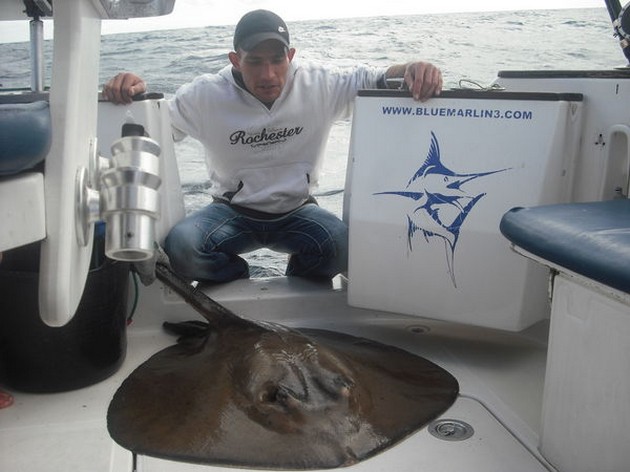 06/01 Roughtail Stingray Cavalier & Blue Marlin Sport Fishing Gran Canaria