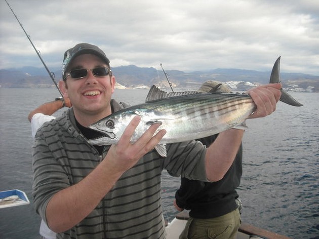 atlantic bonito Cavalier & Blue Marlin Sport Fishing Gran Canaria