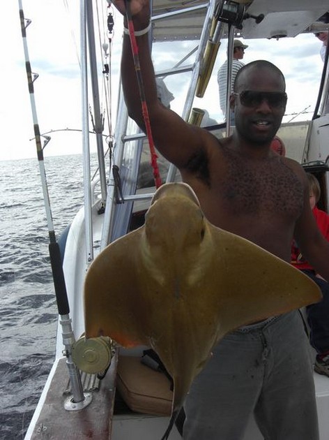 eagle ray Cavalier & Blue Marlin Sport Fishing Gran Canaria