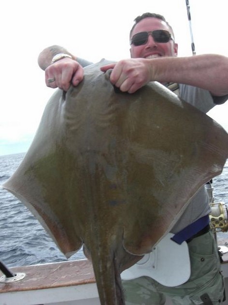 common stingray Cavalier & Blue Marlin Sport Fishing Gran Canaria