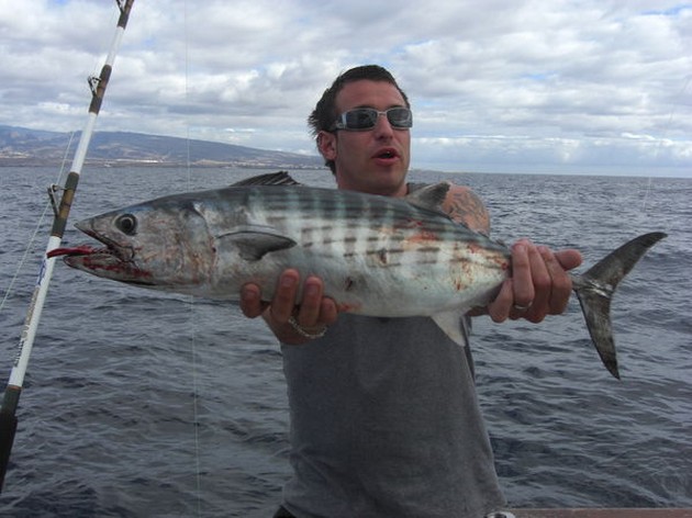 atlantic bonito Cavalier & Blue Marlin Sport Fishing Gran Canaria