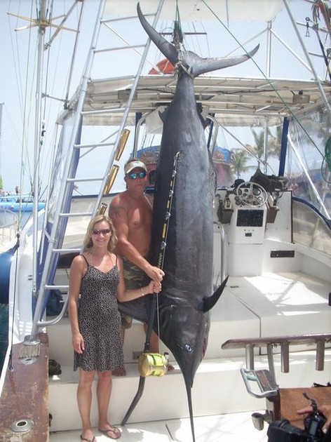 blue marlin Cavalier & Blue Marlin Sport Fishing Gran Canaria