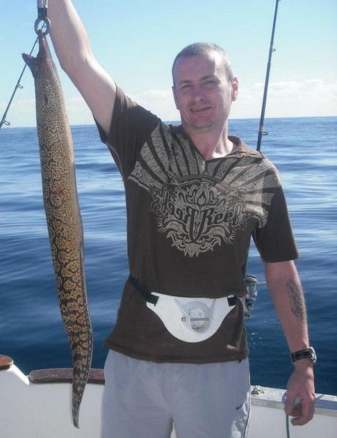 tiger moray Cavalier & Blue Marlin Sport Fishing Gran Canaria