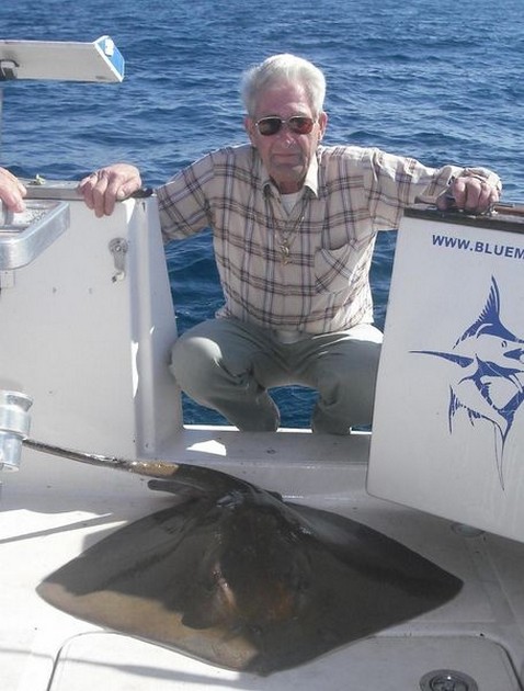 Common Stingray Cavalier & Blue Marlin Sport Fishing Gran Canaria