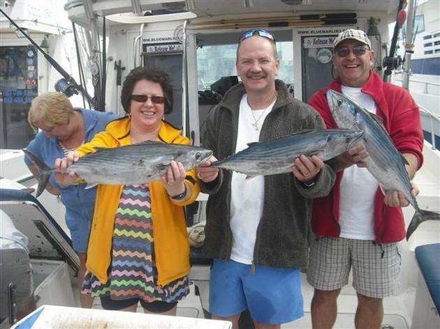 16/01 north atlantic bonito Cavalier & Blue Marlin Sport Fishing Gran Canaria
