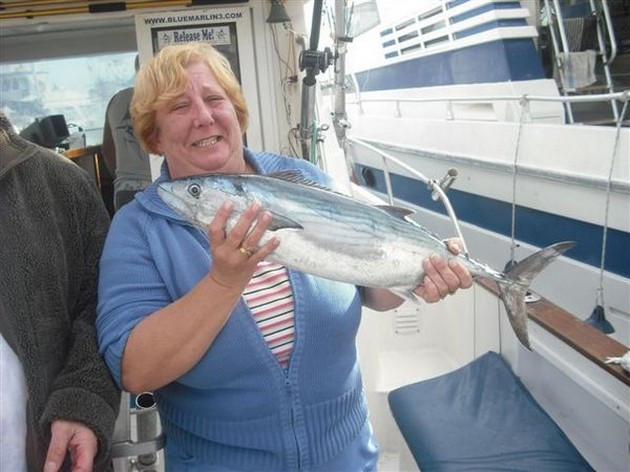 atlantic bonito Cavalier & Blue Marlin Sport Fishing Gran Canaria