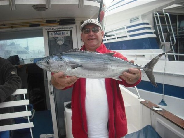 atlantic bonito Cavalier & Blue Marlin Sport Fishing Gran Canaria