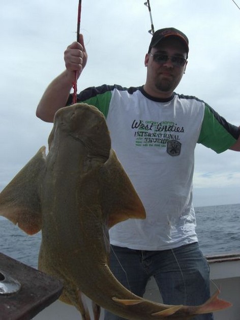 angel shark Cavalier & Blue Marlin Sport Fishing Gran Canaria