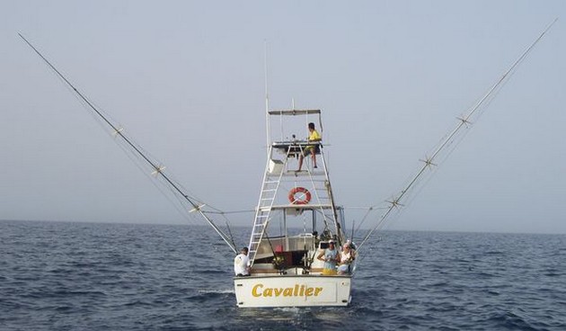 CAVALIER BIG GAME HOT SPOTS 2008<br><br>Het heeft even geduurt, - Cavalier & Blue Marlin Sport Fishing Gran Canaria